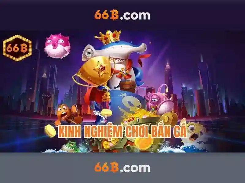 Quyền và nghĩa vụ người chơi 66B
