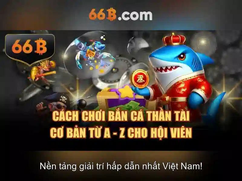 Quyền và nghĩa vụ người chơi 66B